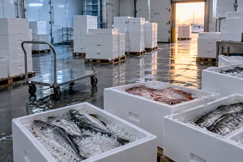 保冷庫に積まれた箱と鮮魚の箱のイメージ