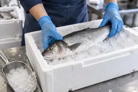 鮮魚を氷の箱に入れるイメージ