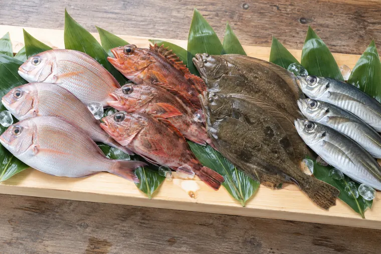 板の上に並ぶ鮮魚のイメージ